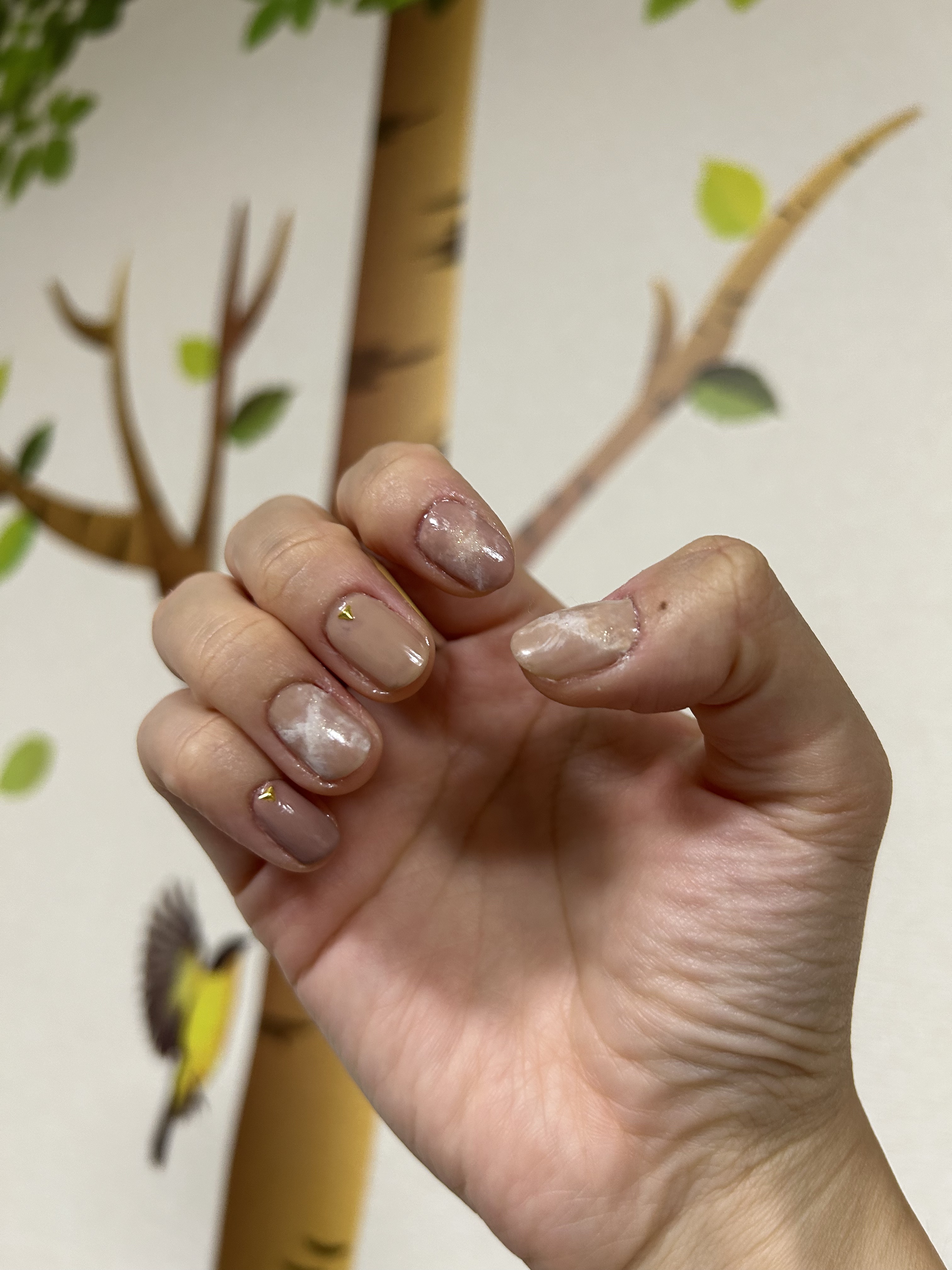 カラフルネイルズ/キャンメイク/マニキュアを使ったクチコミ（2枚目）