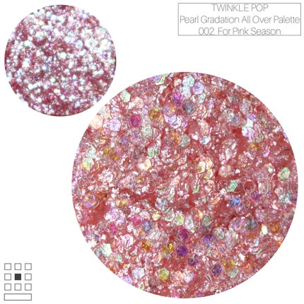 パールグラデーションオールオーバーパレット/TWINKLE POP/アイシャドウパレットを使ったクチコミ(2枚目)