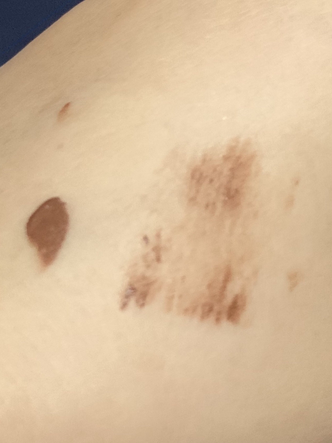 カラーマイブロウマスカラ/ETUDE/眉マスカラを使ったクチコミ（2枚目）