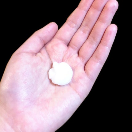 プルント モイストリッチ美容液シャンプー/モイストリッチリペア美容液トリートメント/Purunt./市販シャンプーを使ったクチコミ(5枚目)