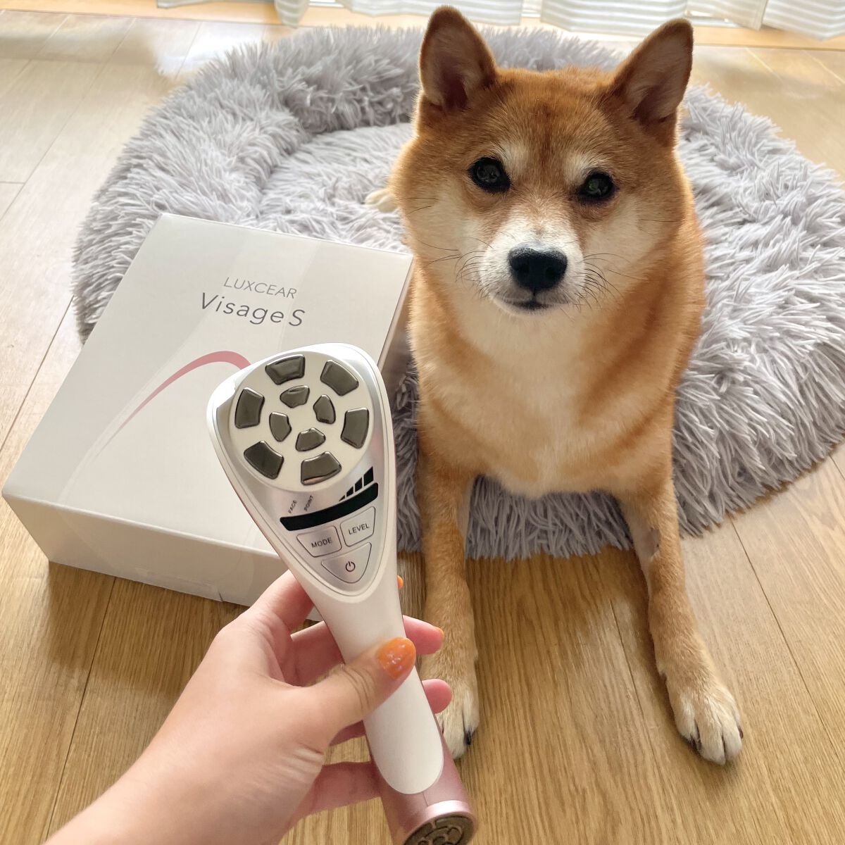 ルクセア　ヴィサージュ S 美顔器 ルクセアヴィサージュS LUXCEAR Visage S ルクセア ヴィサージュ