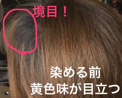 ミルキィヘアカラー/ビューティラボ/ヘアカラーを使ったクチコミ(2枚目)