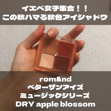 ベターザンアイズ ミュージックシリーズ/rom&nd/アイシャドウパレットを使ったクチコミ（1枚目）