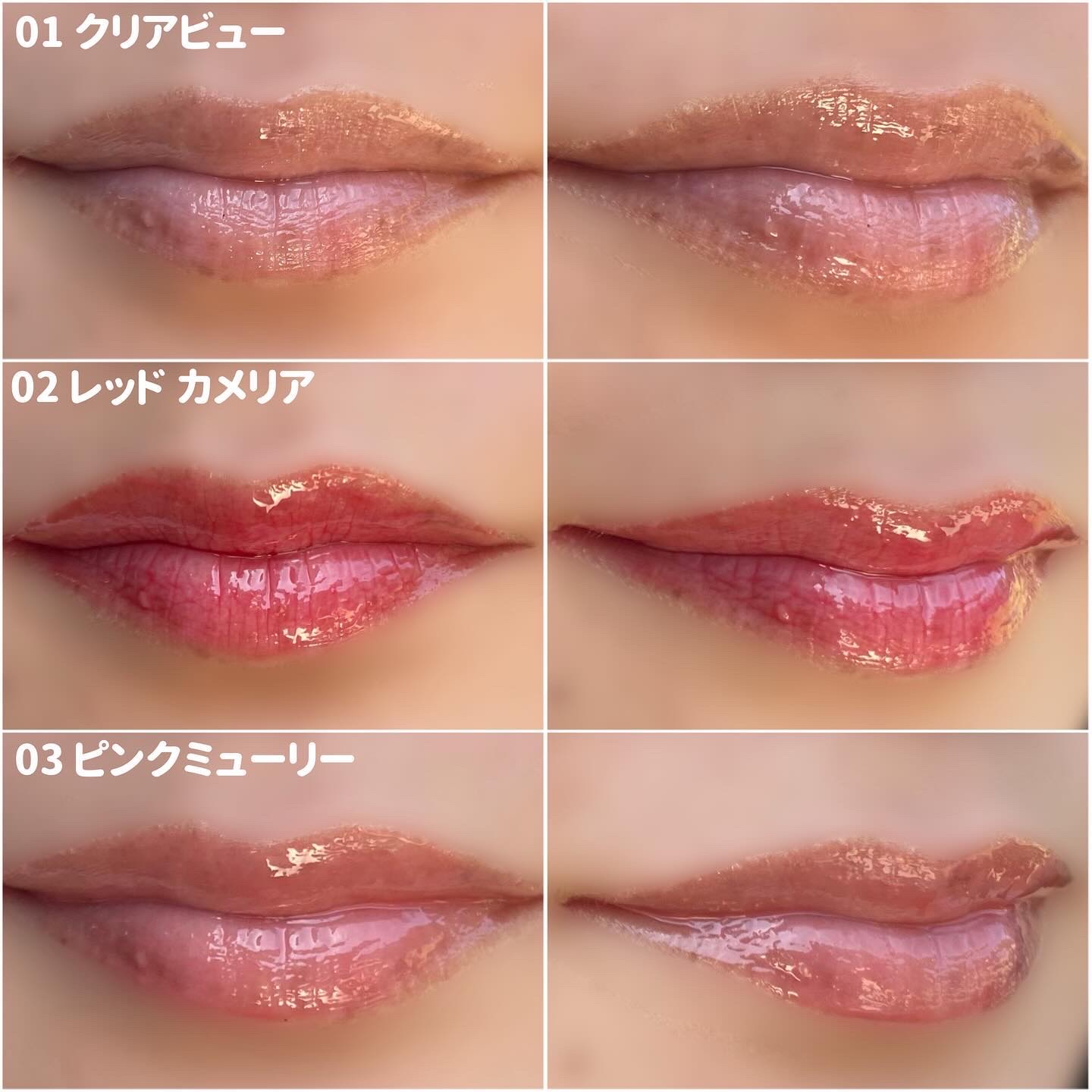 ナチュラルブルームリップオイルセラム 3色セット/PINATE/リップグロスを使ったクチコミ（2枚目）