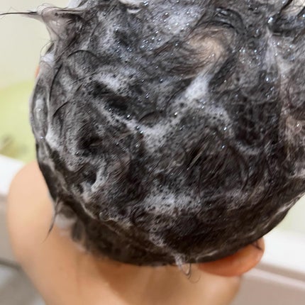 植物生まれのオレンジ地肌シャンプーS/オレンジ果汁トリートメントN シャンプー400mL/石澤研究所/市販シャンプーを使ったクチコミ(2枚目)