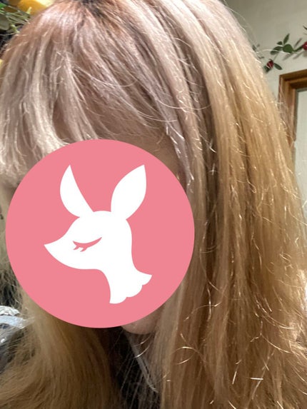 COLORR GENERATION/カラージェネレーション/ヘアカラーを使ったクチコミ(1枚目)