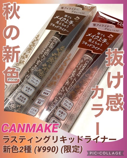 ラスティングリキッドライナー/キャンメイク/リキッドアイライナーを使ったクチコミ(1枚目)