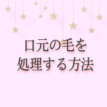 bi-hada ompa L ホルダー替刃2個付/貝印/シェーバーを使ったクチコミ（1枚目）