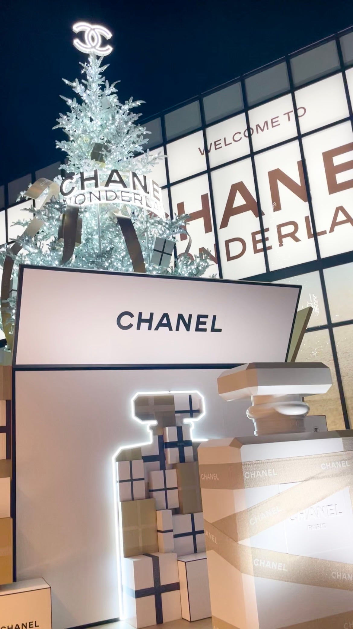 シャネル ルージュ ココ ボーム/CHANEL/口紅を使ったクチコミ(1枚目)