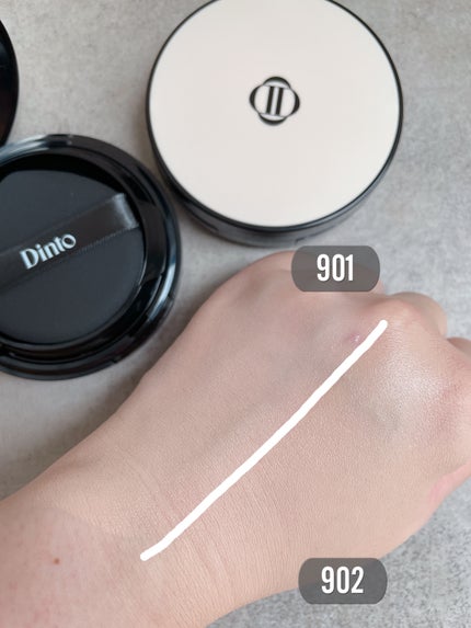 ブラーフィニッシュ雲楚クッション/Dinto/クッションファンデーションを使ったクチコミ(6枚目)