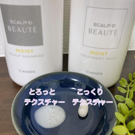 スカルプD ボーテ 薬用スカルプシャンプー(モイスト)/薬用トリートメントパック(モイスト)/アンファー(スカルプD)/市販シャンプーを使ったクチコミ(2枚目)