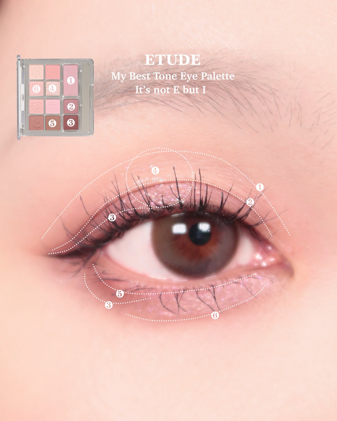マイベストトーンアイパレット/ETUDE/アイシャドウパレットを使ったクチコミ(5枚目)