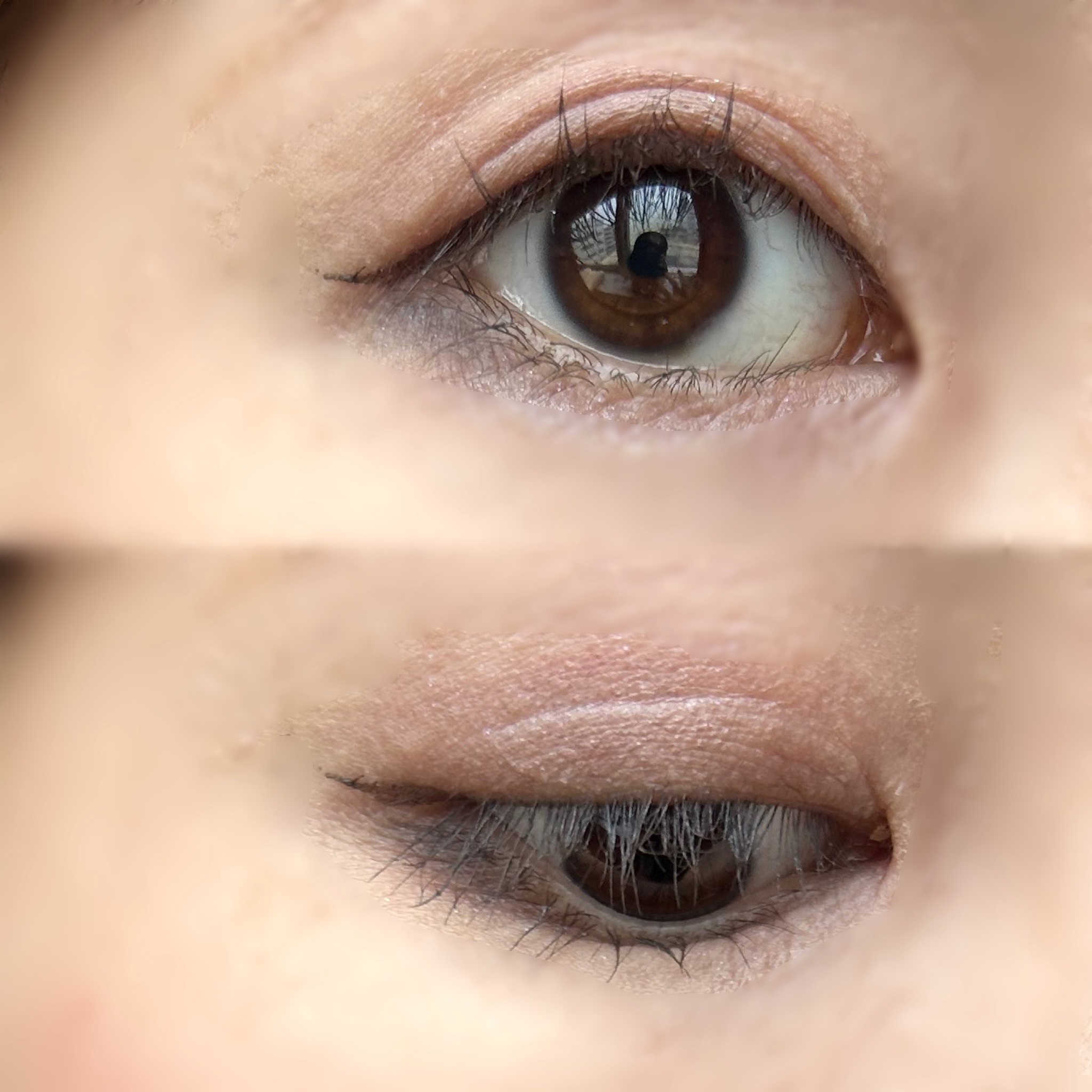 コンスピキュアス アイズ リミテッドコレクション b/Amplitude/単色アイシャドウを使ったクチコミ（2枚目）