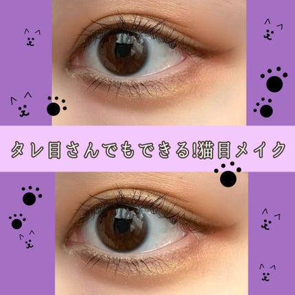 ♡せーにゃん♡🌷 on LIPS 「❀タレ目さんでも出来ちゃう猫目メイク❀𓂃今回は猫目メイクのポイ..」(1枚目)