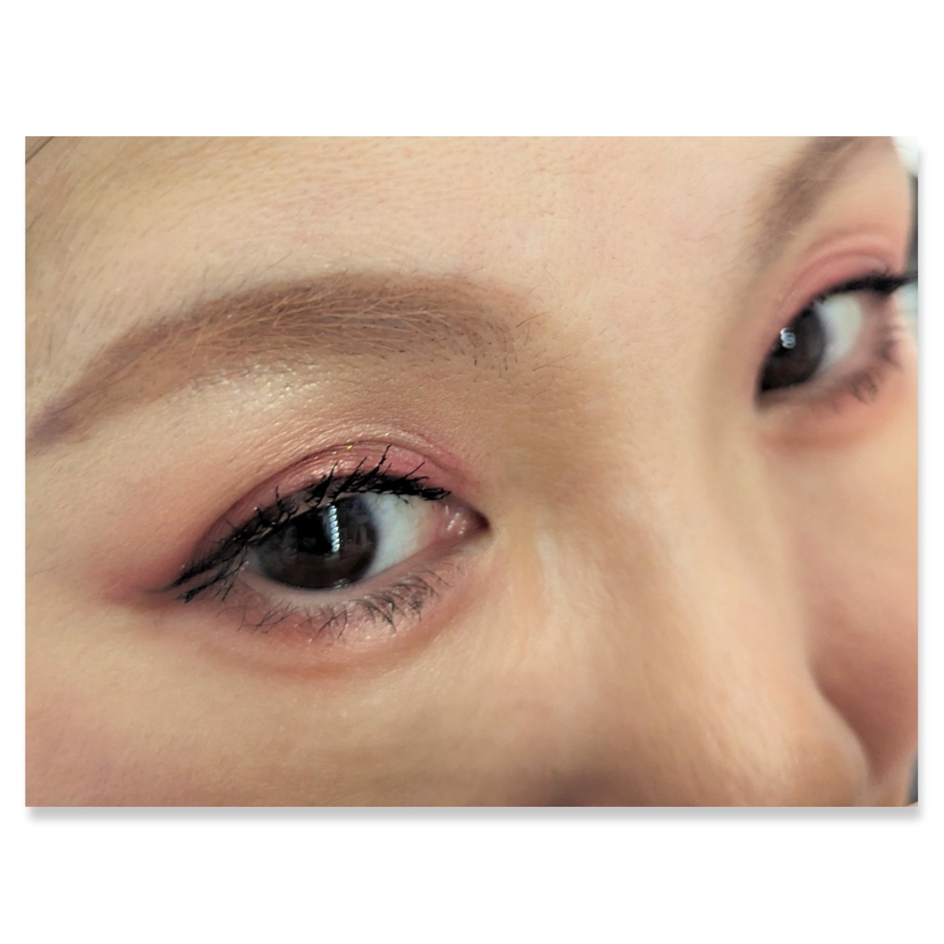 グラムチェンジマルチパレット/A.BLACK/マルチパレットを使ったクチコミ（2枚目）