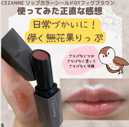 リップカラーシールド/CEZANNE/口紅を使ったクチコミ(1枚目)