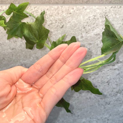 スカルプ シャンプー/BELTA(ベルタ)/市販シャンプーを使ったクチコミ(6枚目)