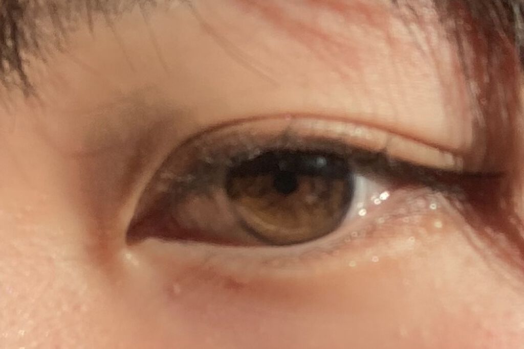 パーフェクトマルチアイズ/キャンメイク/アイシャドウパレットを使ったクチコミ（1枚目）