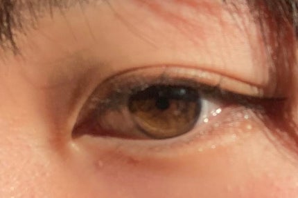 パーフェクトマルチアイズ/キャンメイク/アイシャドウパレットを使ったクチコミ(1枚目)