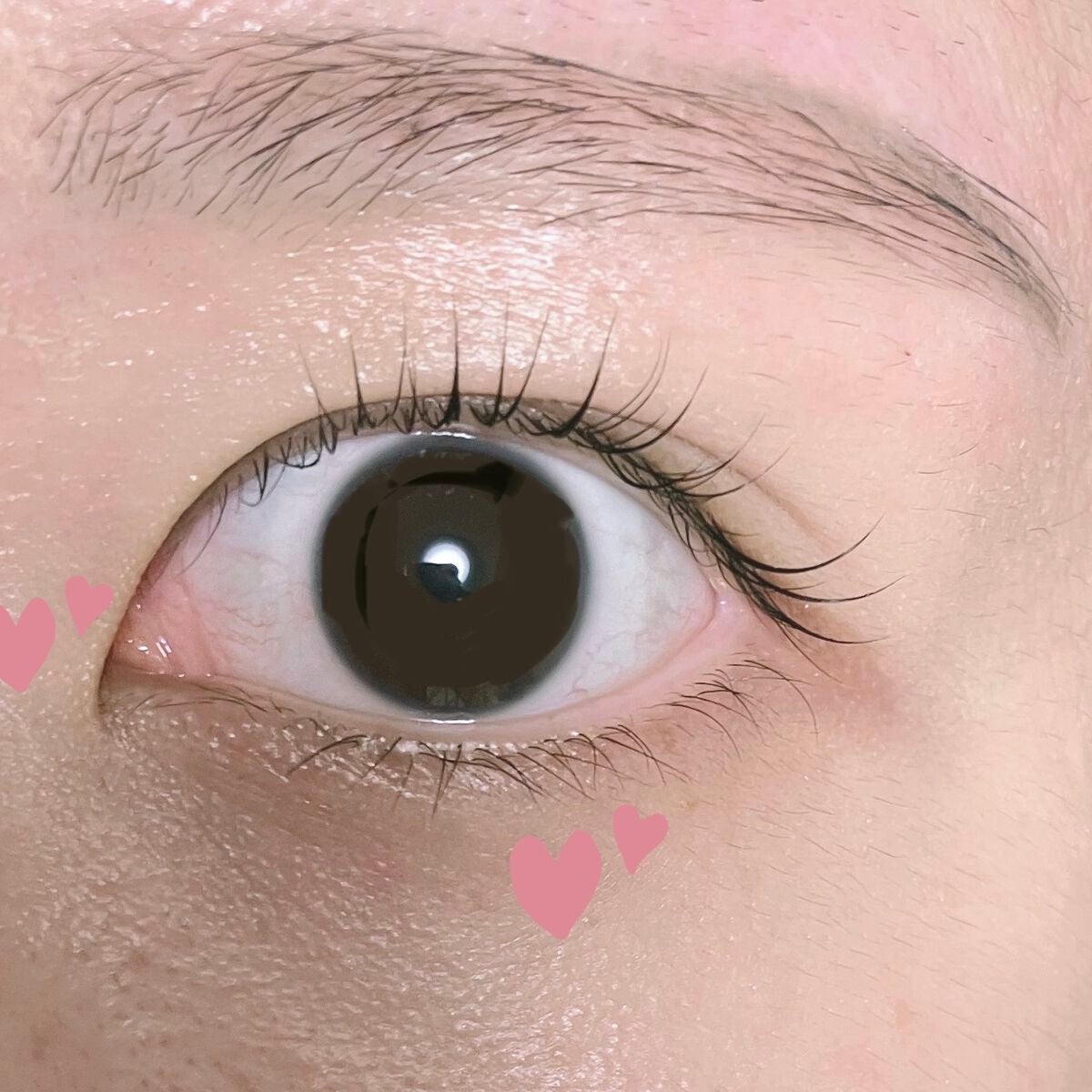 しまもと on LIPS 「【まつ毛パーマかけてきた!】※目の写真あり⚠️こんにちは、しま..」(2枚目)