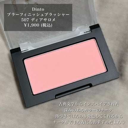 ブラーフィニシュブラッシャー/Dinto/パウダーチークを使ったクチコミ(2枚目)