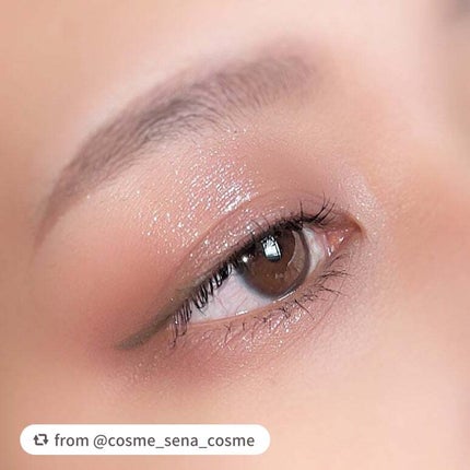 エクスプローラ12色 動物アイシャドウパレット/PERFECT DIARY/アイシャドウパレットを使ったクチコミ(2枚目)