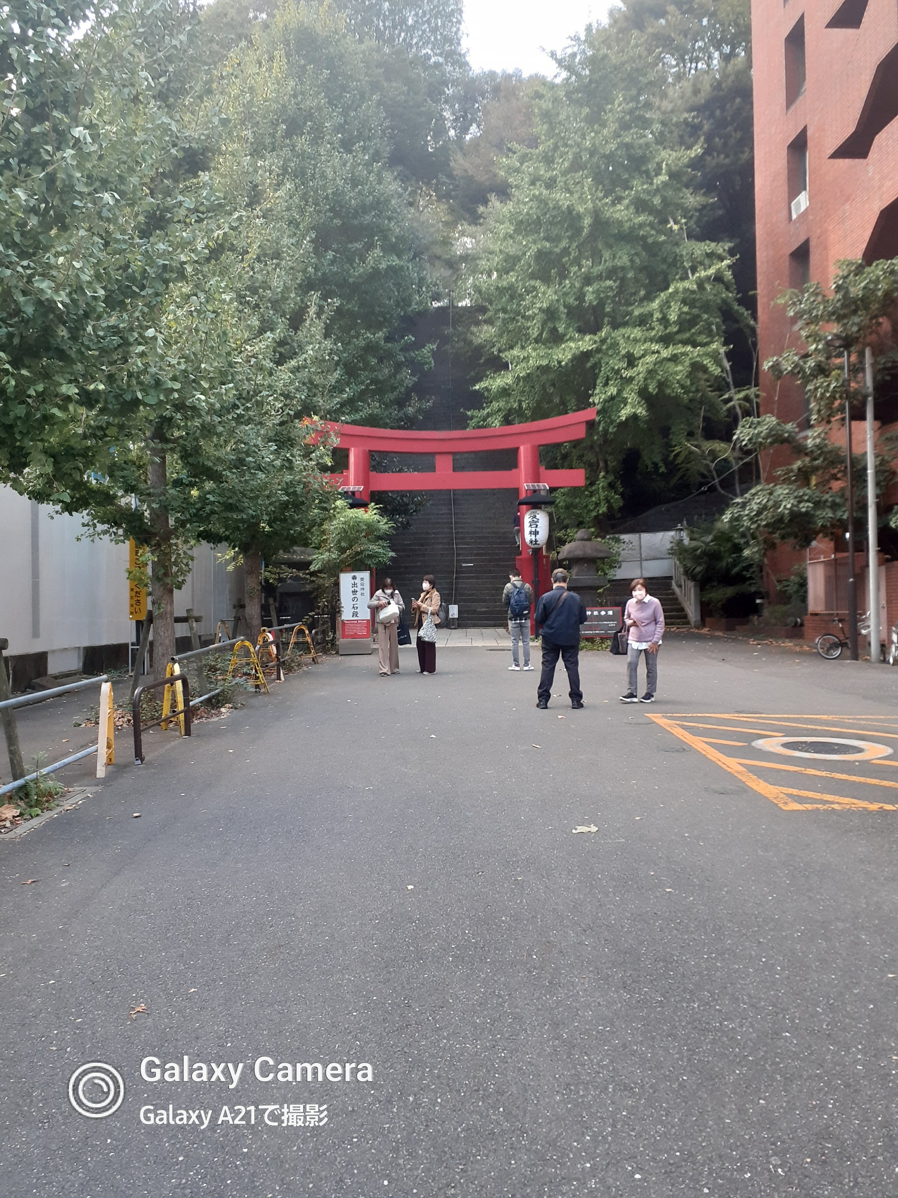 プロ シングル シャドウ G01 Excuse/CLIO/単色アイシャドウを使ったクチコミ（3枚目）