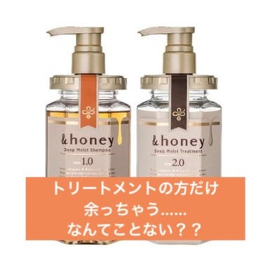 ディープモイスト シャンプー1.0／ヘアトリートメント2.0/&honey/シャンプー・コンディショナーを使ったクチコミ（1枚目）