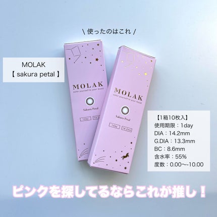 MOLAK 1day/MOLAK/ã¯ã³ããŒïŒïŒDAYïŒã«ã©ã³ã³ã䜿ã£ãã¯ãã³ãïŒ2æç®ïŒ