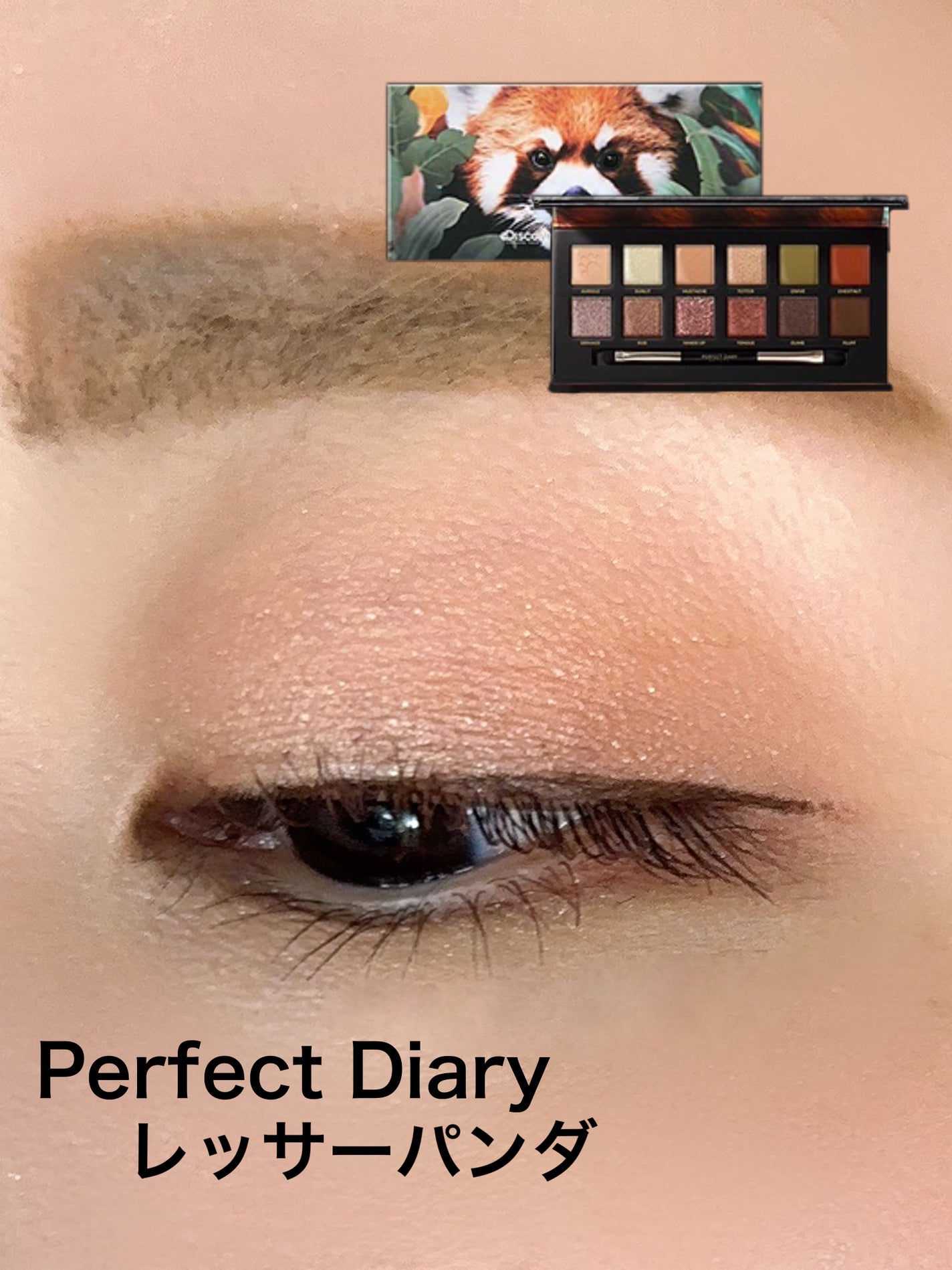エクスプローラ12色 動物アイシャドウパレット/PERFECT DIARY/アイシャドウパレットを使ったクチコミ(1枚目)