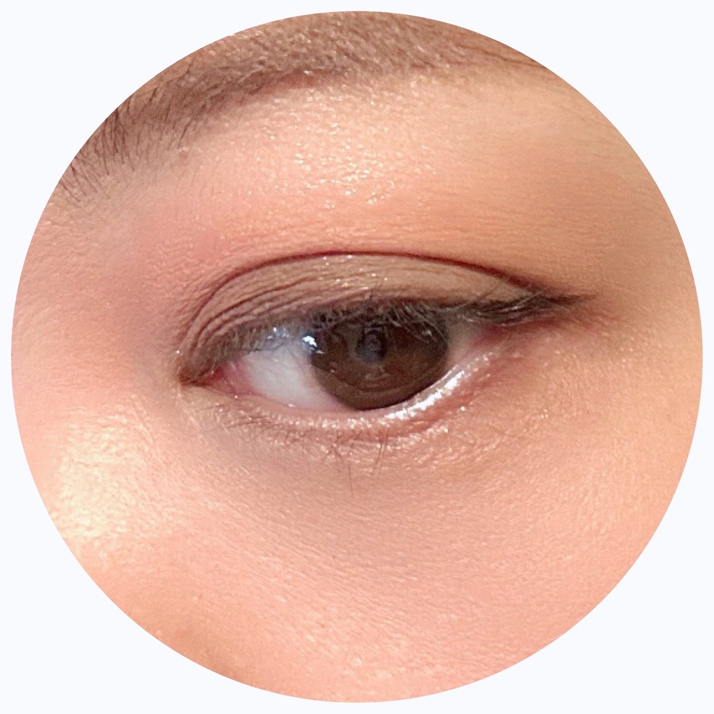 ベターミーアイパレット/2aN/マルチパレットを使ったクチコミ(5枚目)