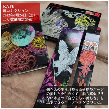 KATE 魂コレクション シェードカラーキープライナー/KATE/リキッドアイライナーを使ったクチコミ（2枚目）