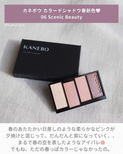 カラードシャドウ 06 Scenic Beauty / KANEBO(カネボウ) | LIPS カラードシャドウ 06 Scenic Beauty / KANEBO(カネボウ) | LIPS
