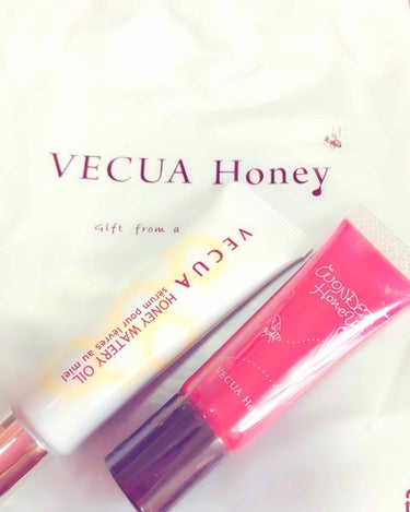 ワンダーハニー 彩り果実のリップネクター/VECUA Honey/リップグロスを使ったクチコミ（1枚目）