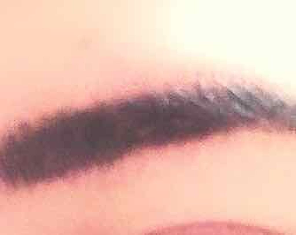 エバビレーナ アイブローパウダー/DAISO/パウダーアイブロウを使ったクチコミ（2枚目）