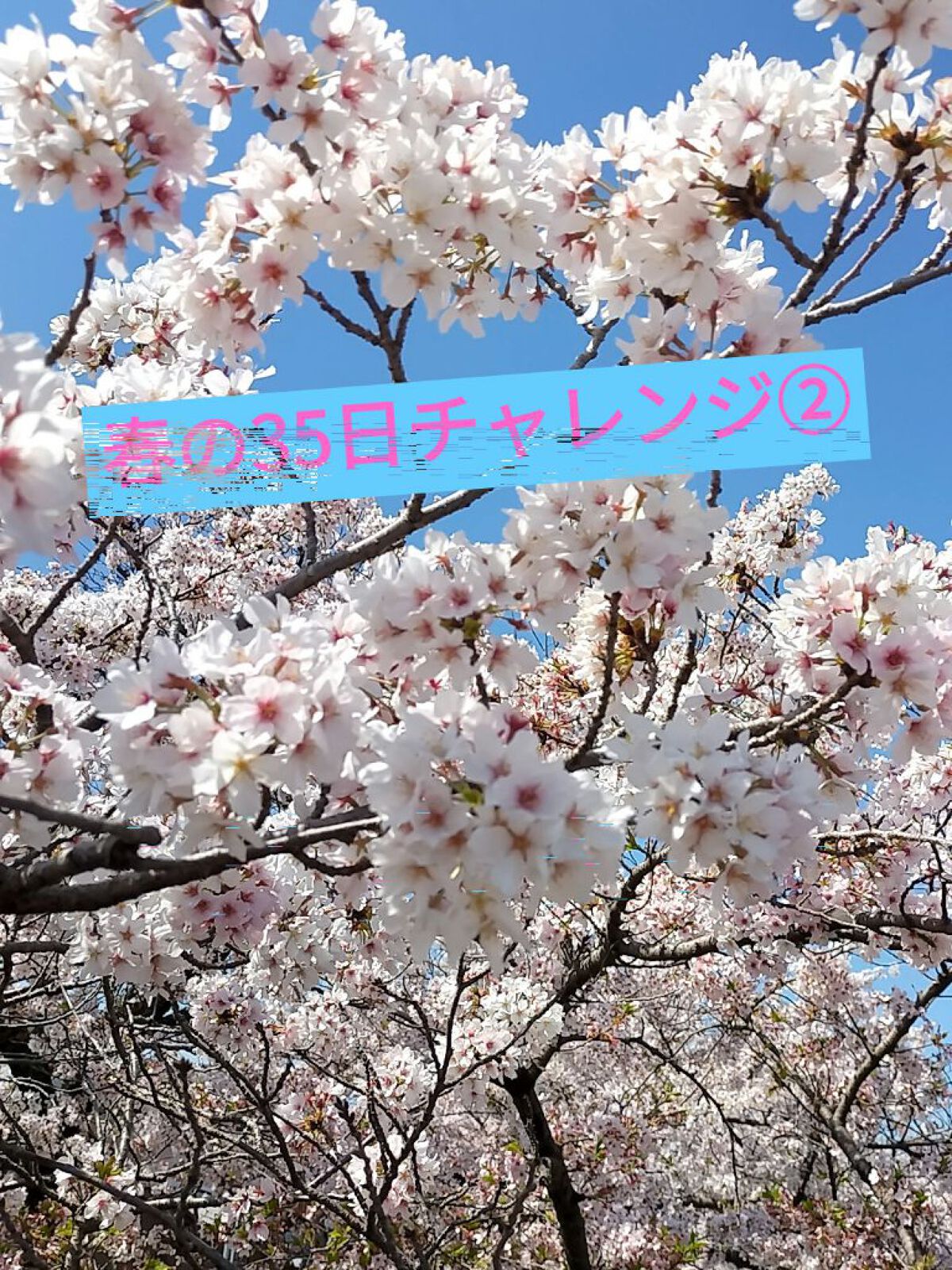  薬用リンクルホワイト ミルク/明色/乳液を使ったクチコミ（1枚目）