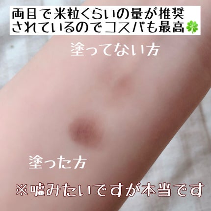 ラスティングマルチアイベース WP/キャンメイク/アイシャドウベースを使ったクチコミ(3枚目)