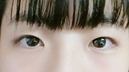 ミニホットアイラッシュカーラー/ニトリ/ホットビューラーを使ったクチコミ(2枚目)