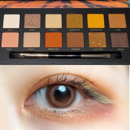 エクスプローラ12色 動物アイシャドウパレット/PERFECT DIARY/アイシャドウパレットを使ったクチコミ(1枚目)