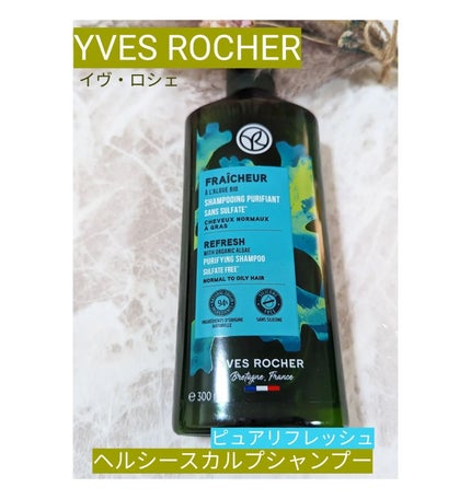 ヘルシースカルプシャンプー/コンディショナー〈ピュアリフレッシュ〉/イヴ・ロシェ/市販シャンプーを使ったクチコミ(2枚目)