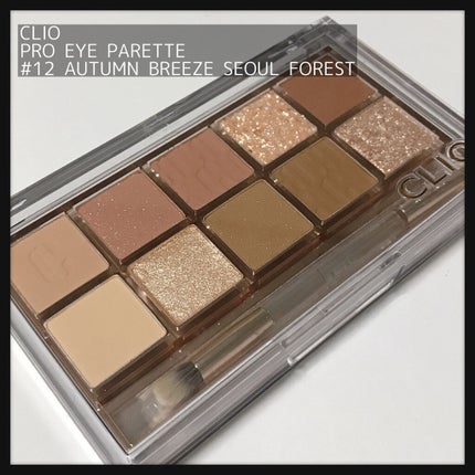 プロ アイ パレット/CLIO/アイシャドウパレットを使ったクチコミ(1枚目)