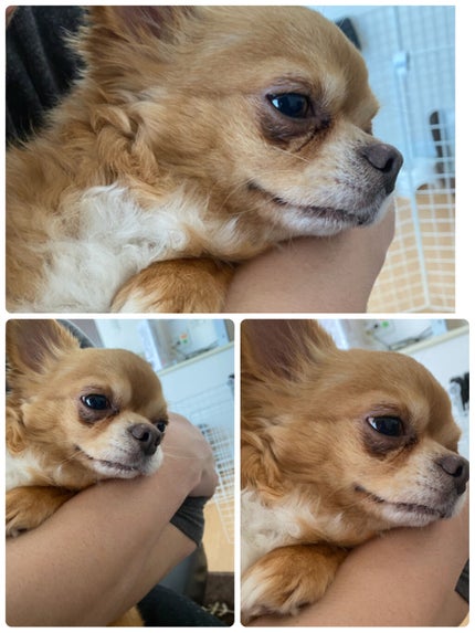 オーラクリエイション/BLEND BERRY/アイシャドウパレットを使ったクチコミ(8枚目)