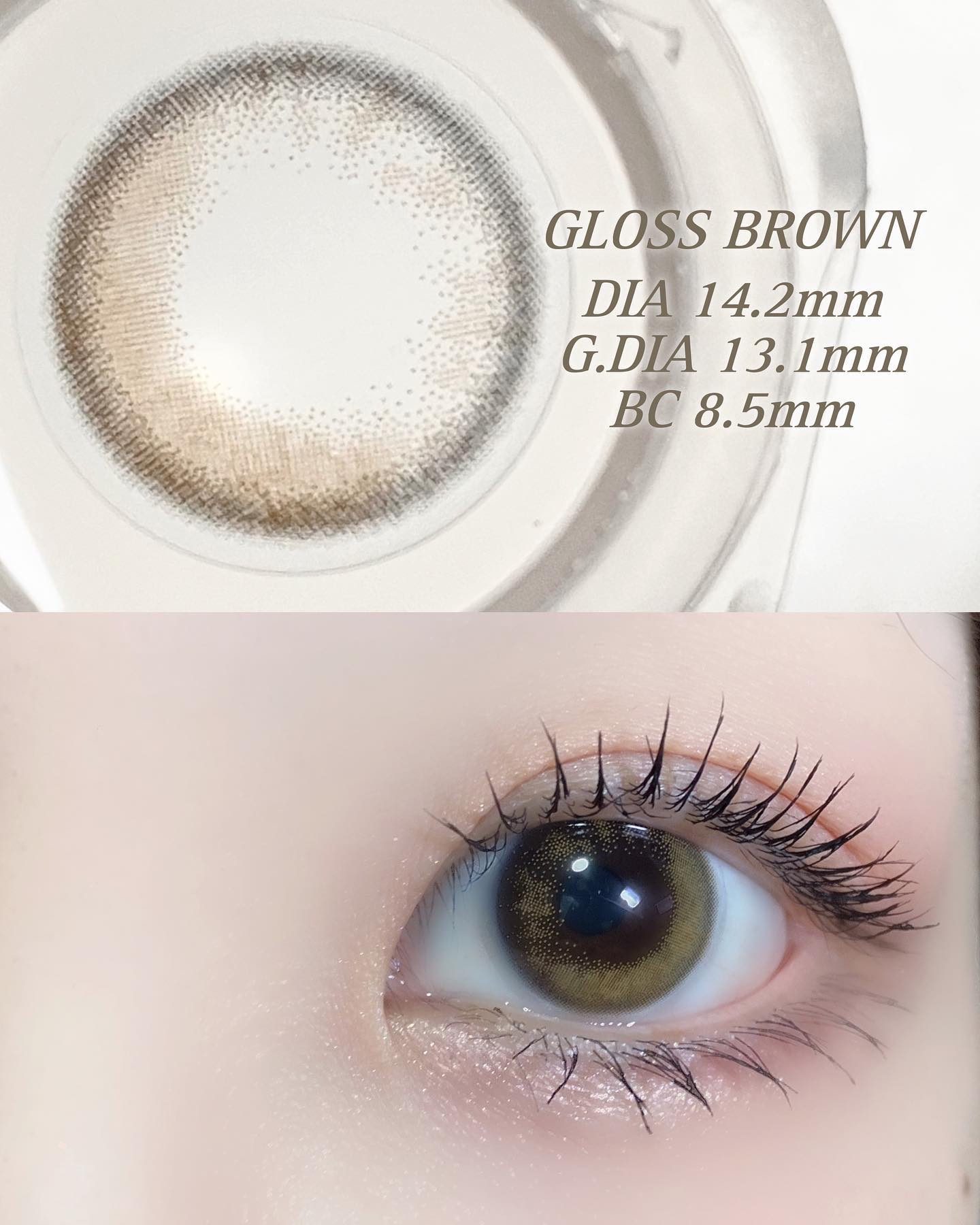 Chu's me 1day グロスブラウン/Chu's me/ワンデー（１DAY）カラコンを使ったクチコミ（2枚目）