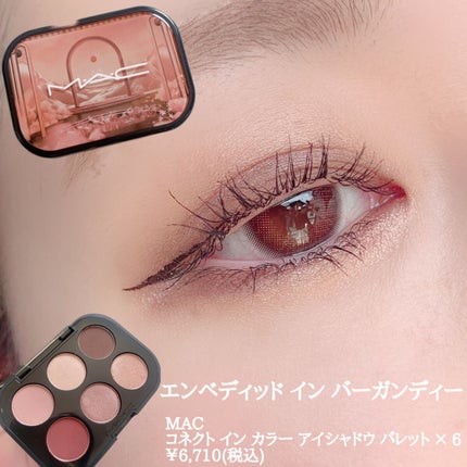 コネクト イン カラー アイシャドウ パレット × 6/M・A・C/アイシャドウパレットを使ったクチコミ(2枚目)