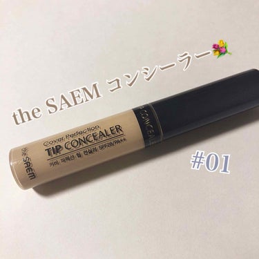 カバーパーフェクション チップコンシーラー/the SAEM/リキッドコンシーラーを使ったクチコミ（1枚目）