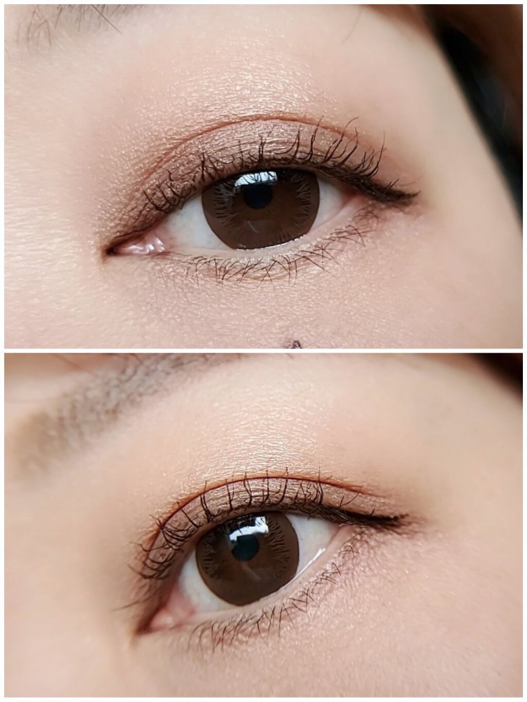 パレットアイシャドウ サンセットブラウン/＆be/アイシャドウパレットを使ったクチコミ（3枚目）