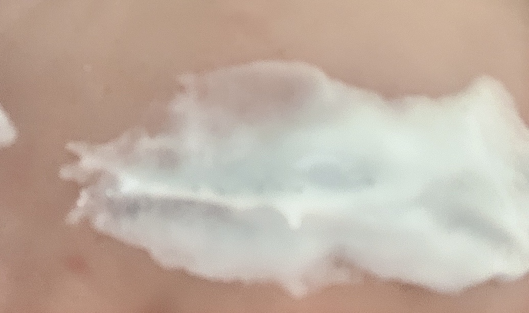 脱色クリーム スピーディー 脱色クリーム（スピーディー）【旧】/エピラット/ムダ毛ケアを使ったクチコミ（1枚目）