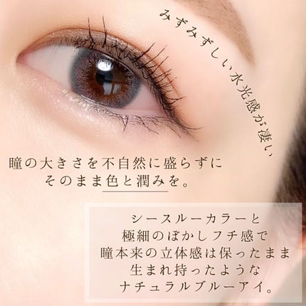 VNTUS 1day/VNTUS/ワンデー(1DAY)カラコンを使ったクチコミ(4枚目)