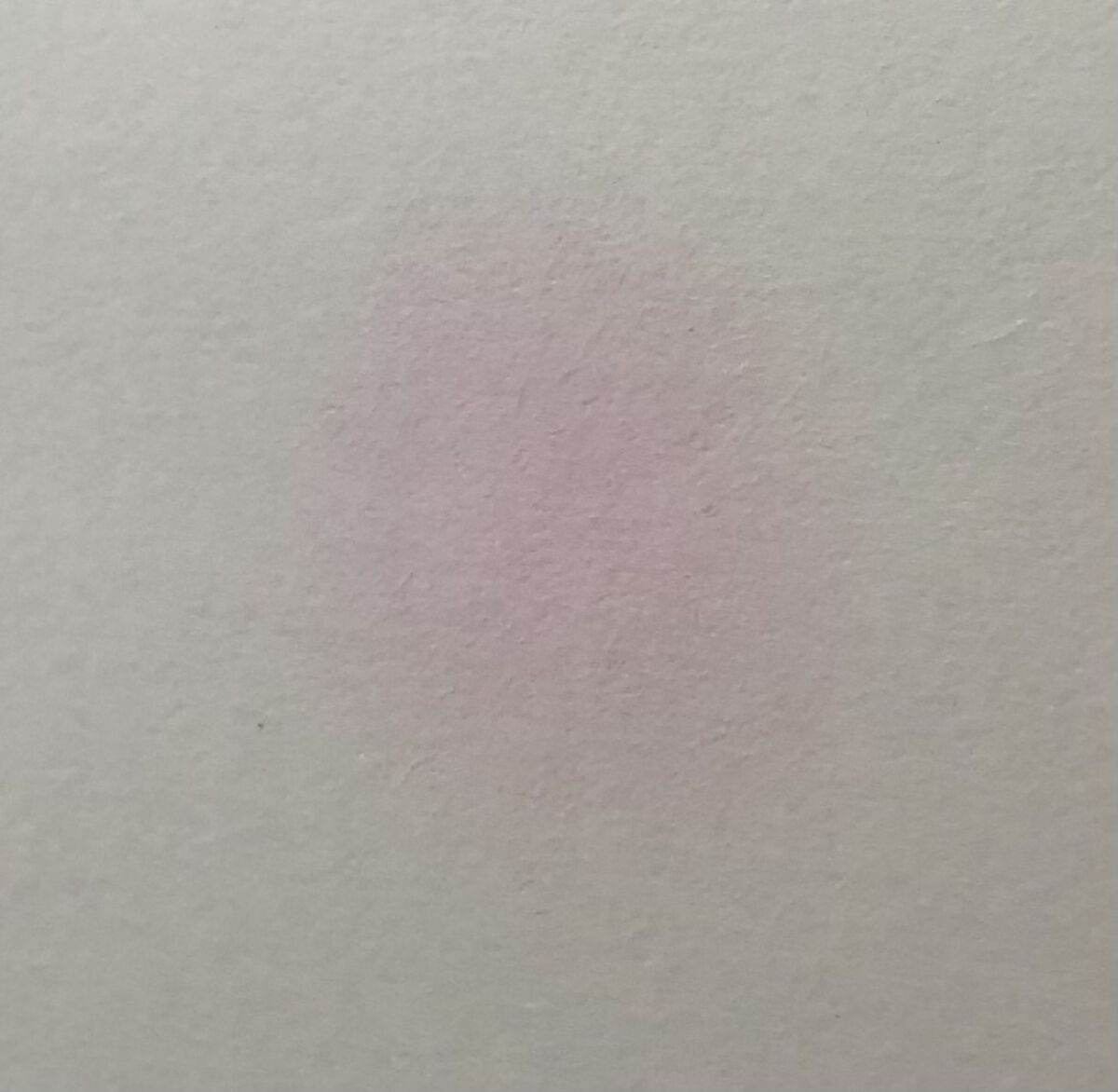 ピュア ブラッシュド サンシャイン チーク/PERIPERA/パウダーチークを使ったクチコミ（2枚目）