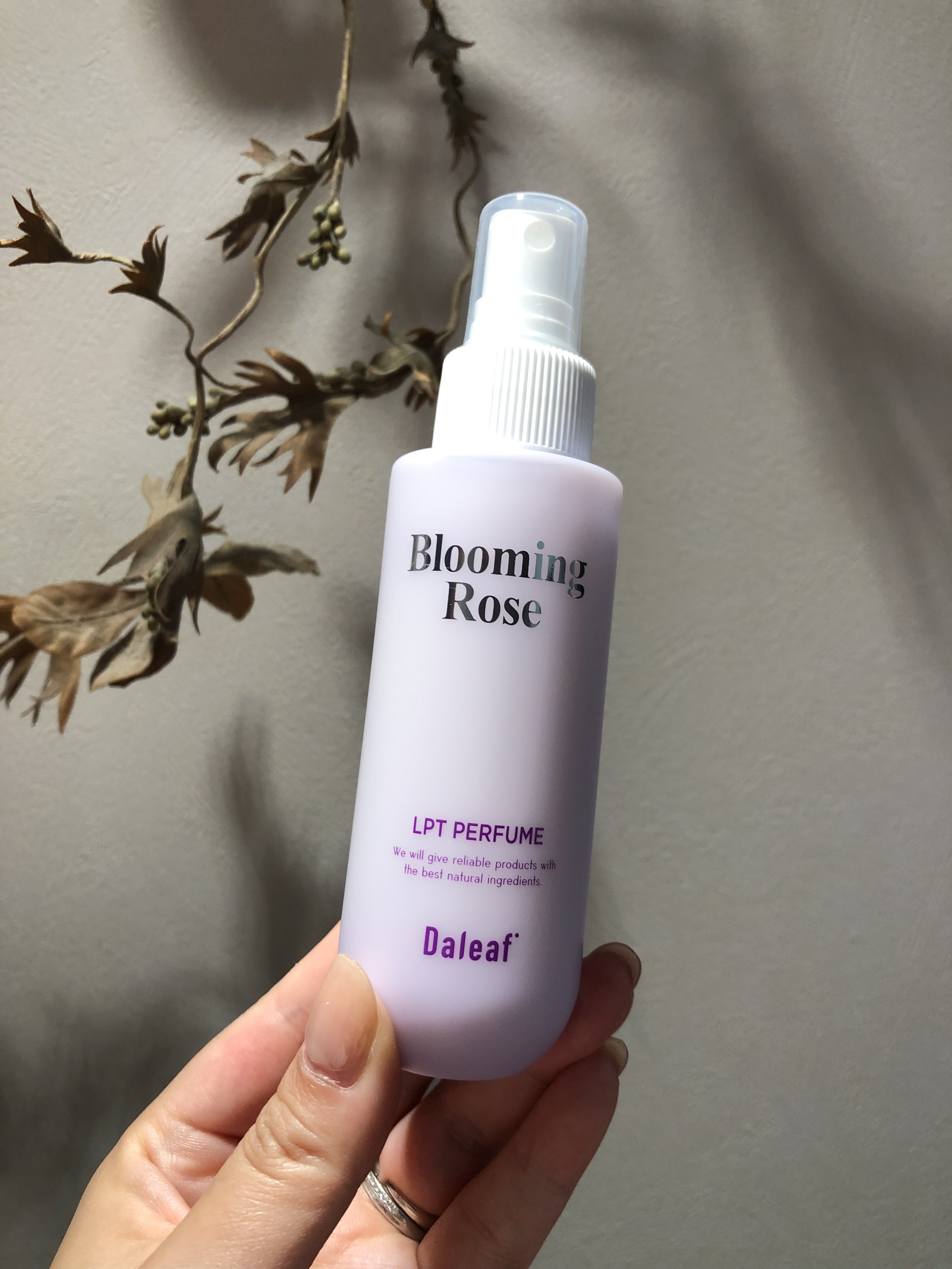 パフュームヘアパックインミスト Pink Breeze/Daleaf/アウトバストリートメントを使ったクチコミ（3枚目）